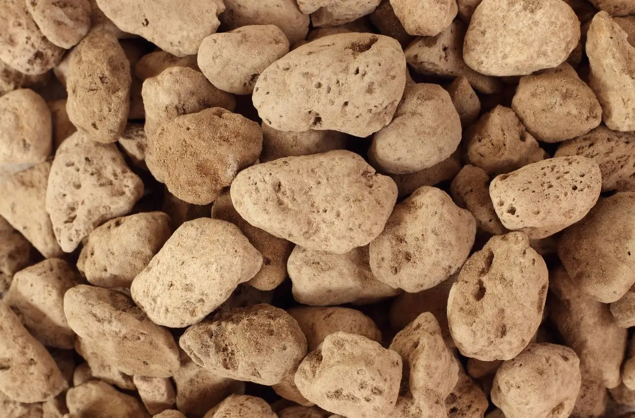 Hai sempre sbagliato a usare l’argilla espansa nelle piante: ecco il trucco del vivaista