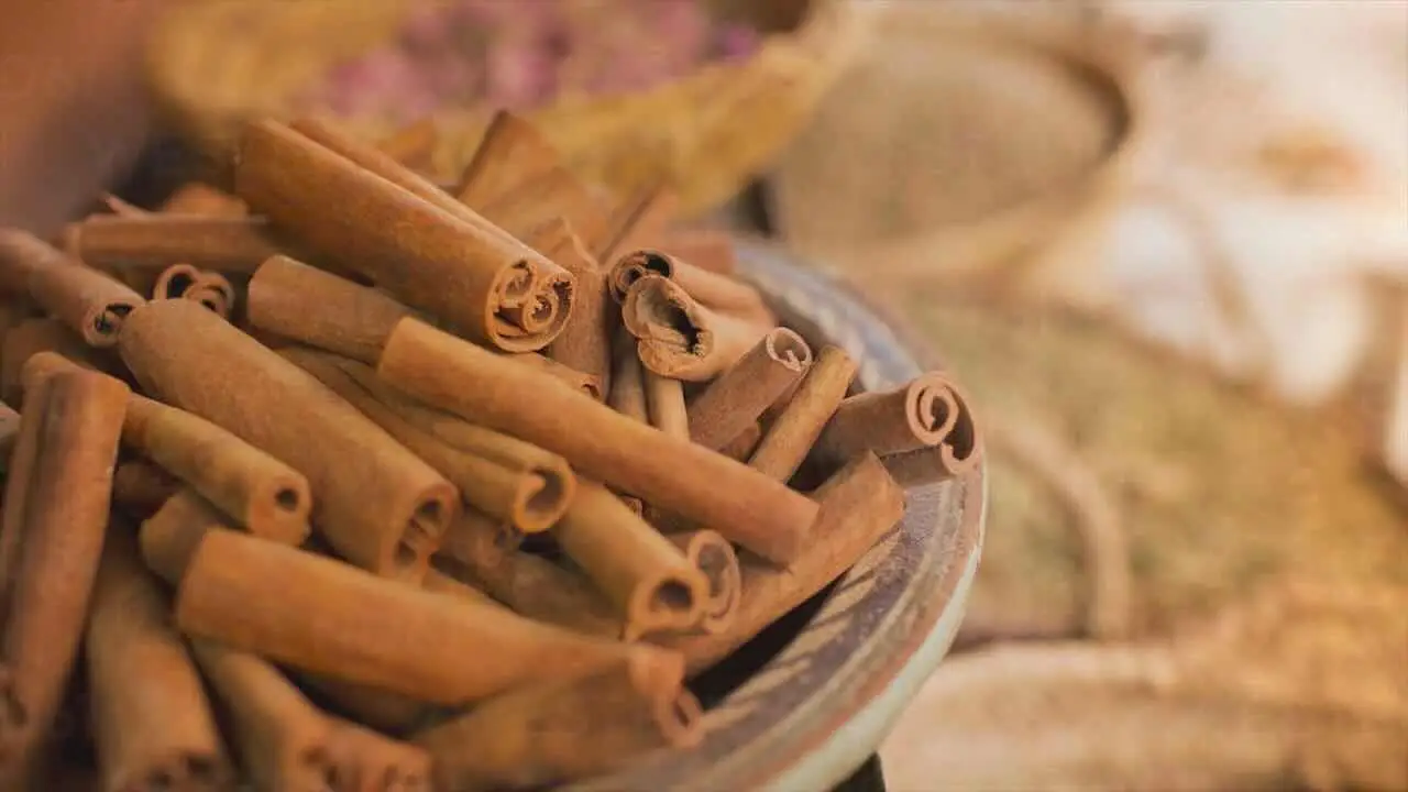 Vuoi coltivare la cannella in casa? Ecco cosa sapere sulla pianta e i suoi segreti