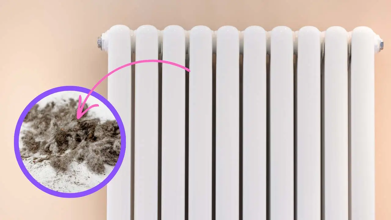 Come pulire i termosifoni in ghisa pieni di polvere? L’accessorio che arriva ovunque