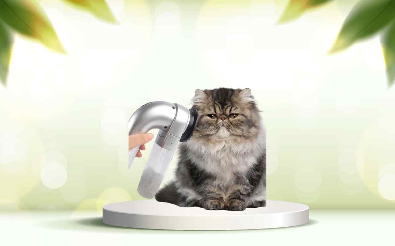 Dì addio ai peli di animali in casa con SpazzolAmica: prova ora la soluzione smart