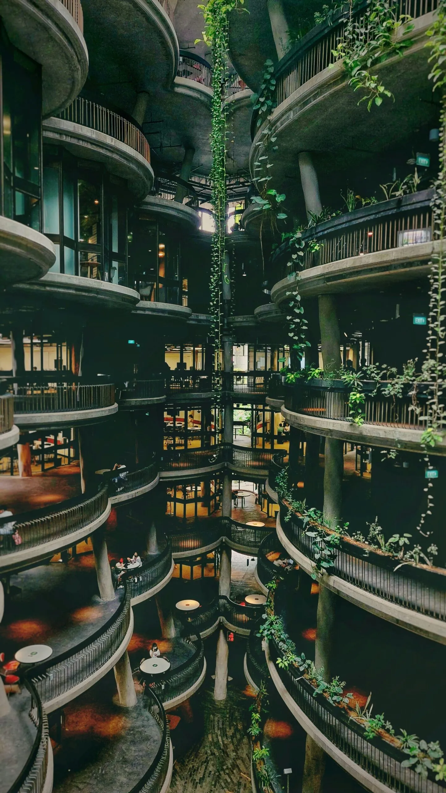 design sostenibile e graphic design per comunicare valori green